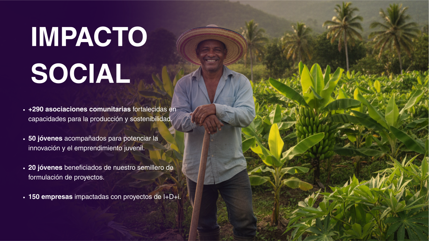 impacto social